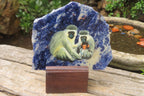 Hand Made Vervet Monkey Family Decoupage on Sodalite Stone Slabs - sold per item - From Namibia - Toprock Gemstones and Minerals 
