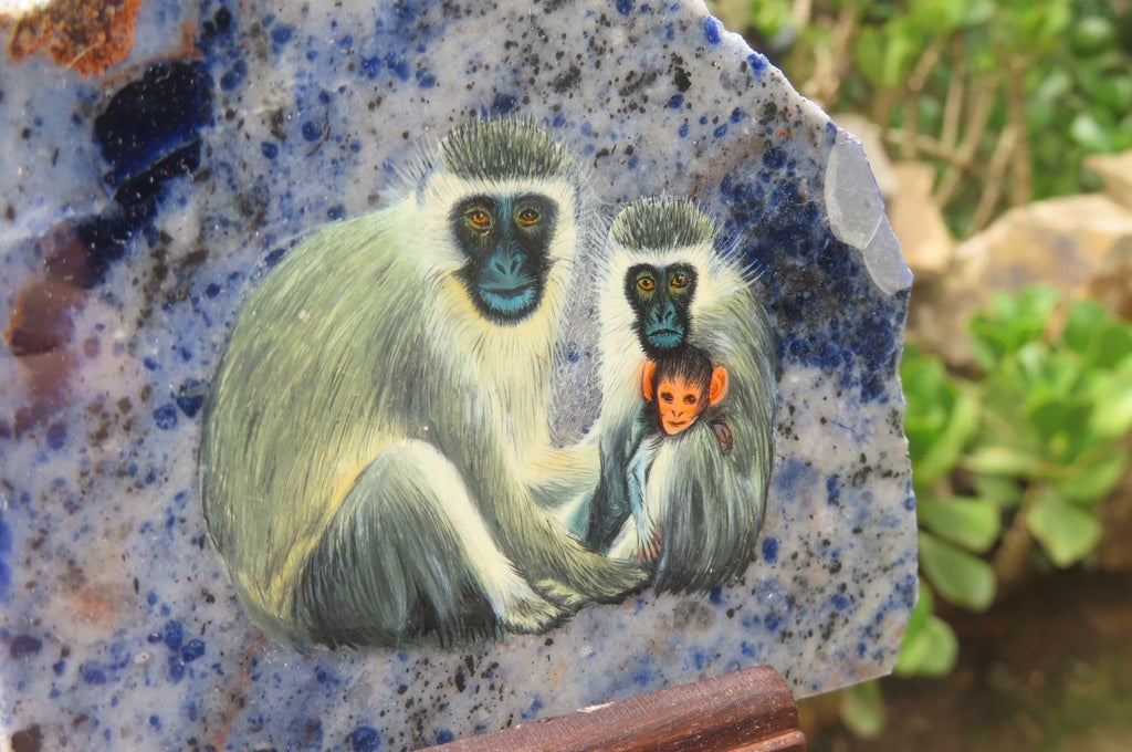 Hand Made Vervet Monkey Family Decoupage on Sodalite Stone Slabs - sold per item - From Namibia - Toprock Gemstones and Minerals 
