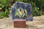 Hand Made Vervet Monkey Family Decoupage on Sodalite Stone Slabs - sold per item - From Namibia - Toprock Gemstones and Minerals 