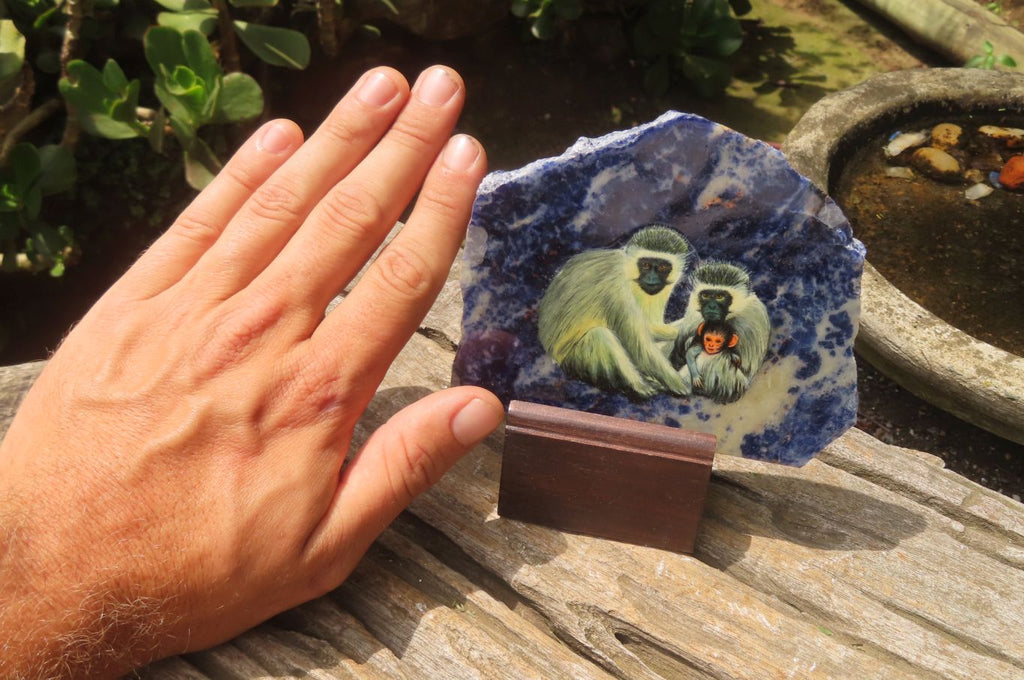 Hand Made Vervet Monkey Family Decoupage on Sodalite Stone Slabs - sold per item - From Namibia - Toprock Gemstones and Minerals 