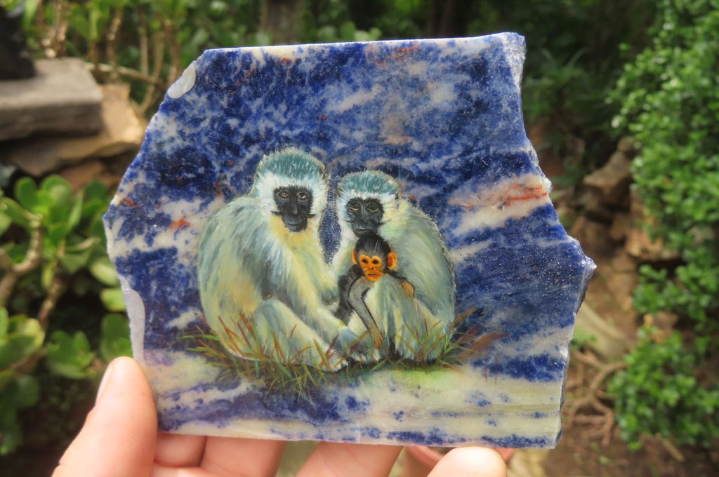 Hand Made Vervet Monkey Family Decoupage on Sodalite Stone Slabs - sold per item - From Namibia - Toprock Gemstones and Minerals 
