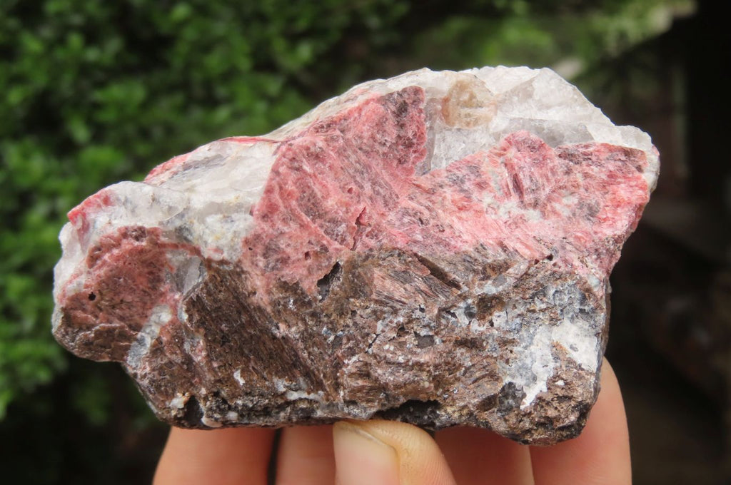 Natural Rhodonite Cobbed Specimens x 6 From Zimbabwe - Toprock Gemstones and Minerals 