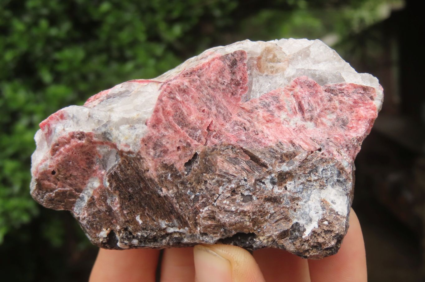 Natural Rhodonite Cobbed Specimens x 6 From Zimbabwe - Toprock Gemstones and Minerals 