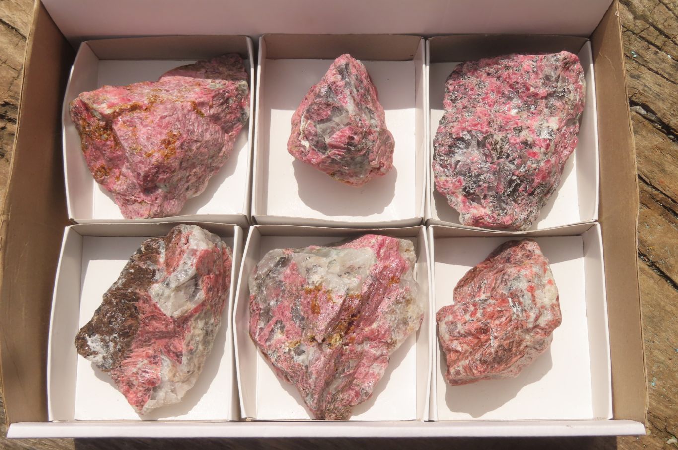 Natural Rhodonite Cobbed Specimens x 6 From Zimbabwe - Toprock Gemstones and Minerals 