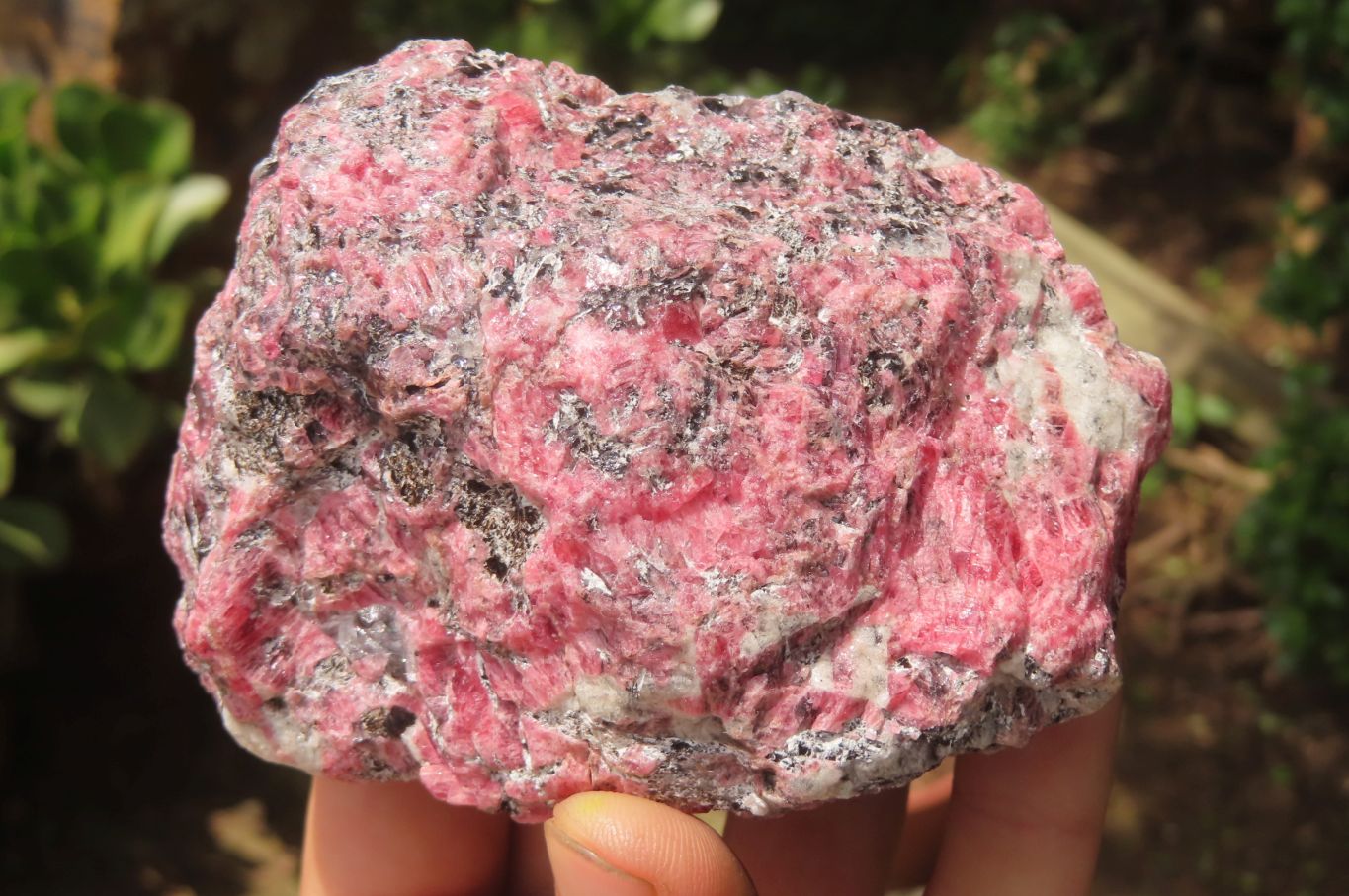 Natural Rhodonite Cobbed Specimens x 6 From Zimbabwe - Toprock Gemstones and Minerals 