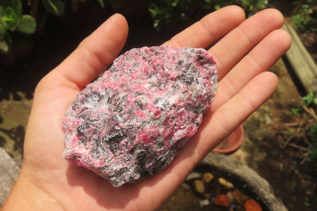 Natural Rhodonite Cobbed Specimens x 6 From Zimbabwe - Toprock Gemstones and Minerals 