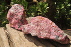 Natural Rhodonite Cobbed Specimens x 6 From Zimbabwe - Toprock Gemstones and Minerals 