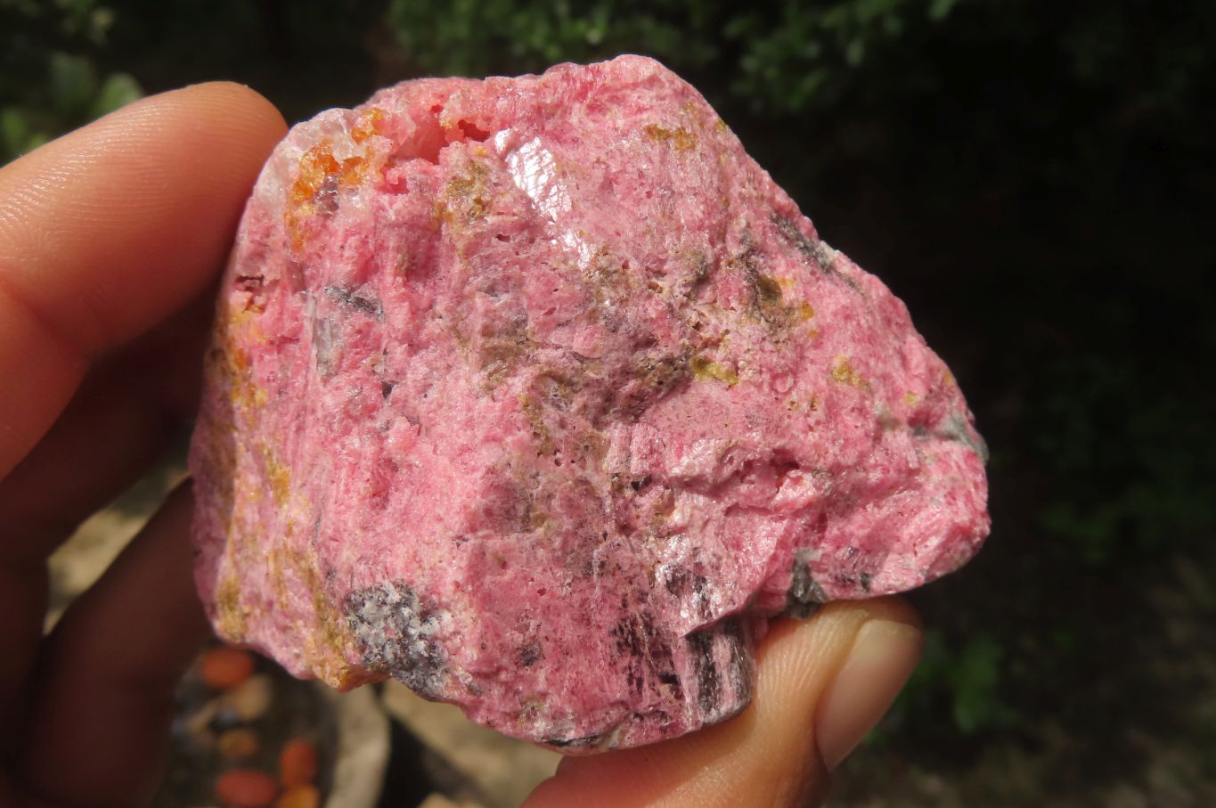 Natural Rhodonite Cobbed Specimens x 6 From Zimbabwe - Toprock Gemstones and Minerals 