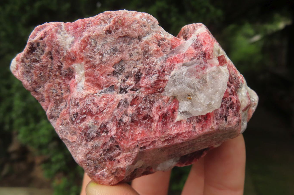 Natural Rhodonite Cobbed Specimens x 6 From Zimbabwe - Toprock Gemstones and Minerals 
