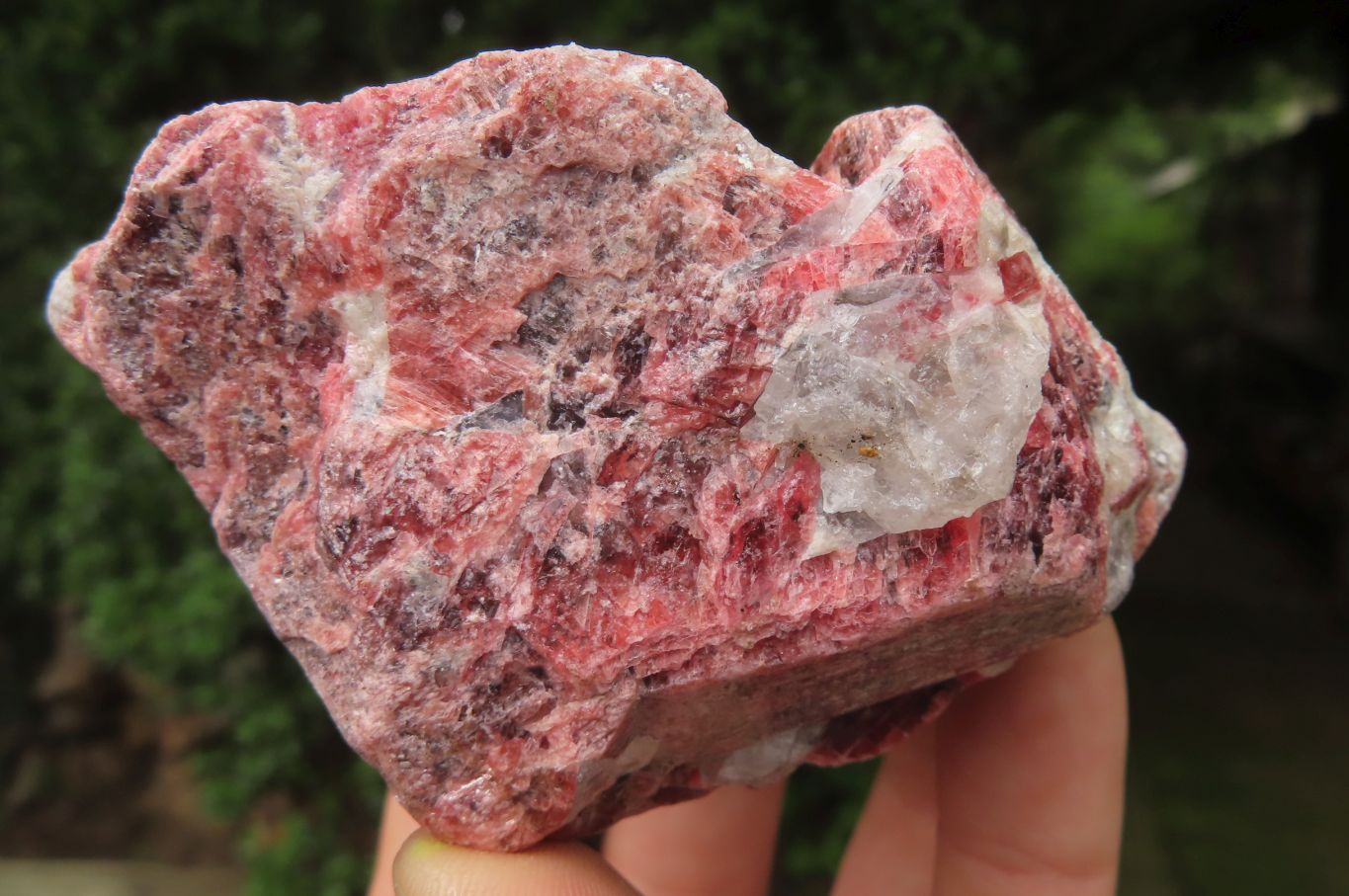 Natural Rhodonite Cobbed Specimens x 6 From Zimbabwe - Toprock Gemstones and Minerals 