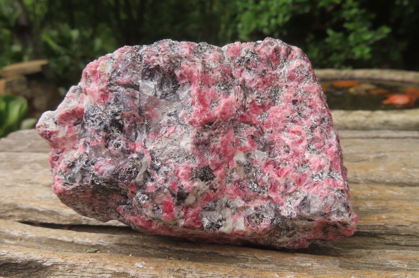 Natural Rhodonite Cobbed Specimens x 6 From Zimbabwe - Toprock Gemstones and Minerals 