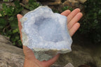 Natural Blue Lace Agate Geode Specimens x 2 From Malawi - Toprock Gemstones and Minerals 