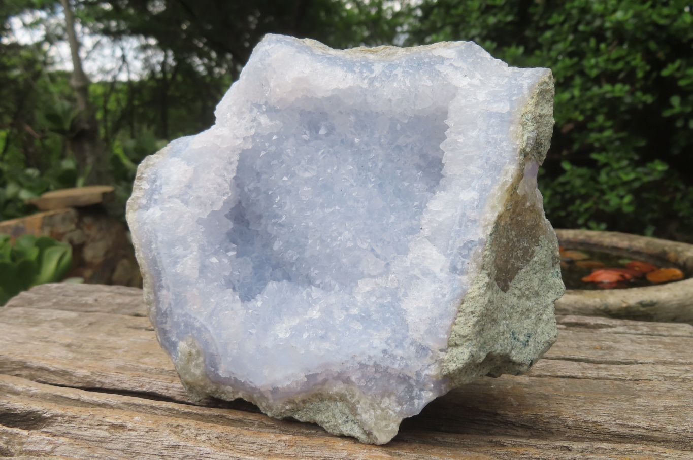 Natural Blue Lace Agate Geode Specimens x 2 From Malawi - Toprock Gemstones and Minerals 