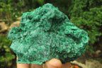 Natural Silky Malachite Specimens x 5 From Kasompe, Congo - Toprock Gemstones and Minerals 