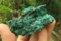 Natural Silky Malachite Specimens x 5 From Kasompe, Congo - Toprock Gemstones and Minerals 