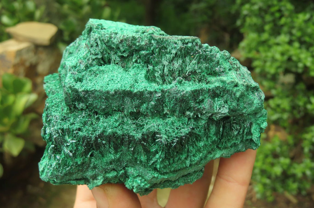Natural Silky Malachite Specimens x 5 From Kasompe, Congo - Toprock Gemstones and Minerals 