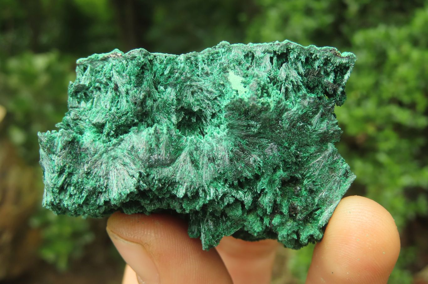 Natural Silky Malachite Specimens x 5 From Kasompe, Congo - Toprock Gemstones and Minerals 