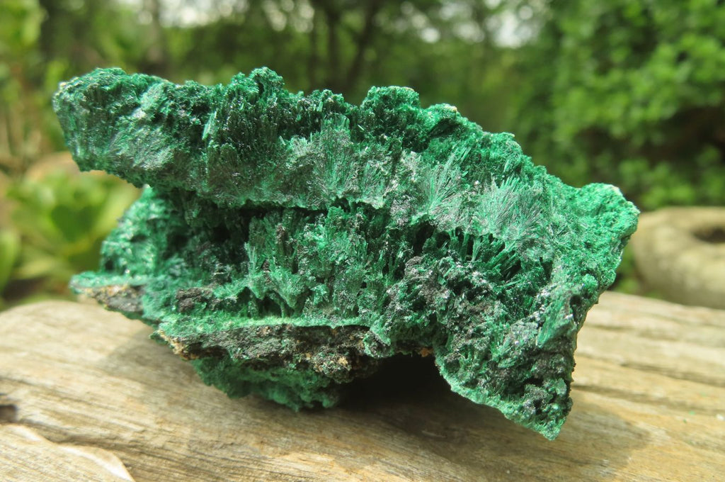 Natural Silky Malachite Specimens x 5 From Kasompe, Congo - Toprock Gemstones and Minerals 