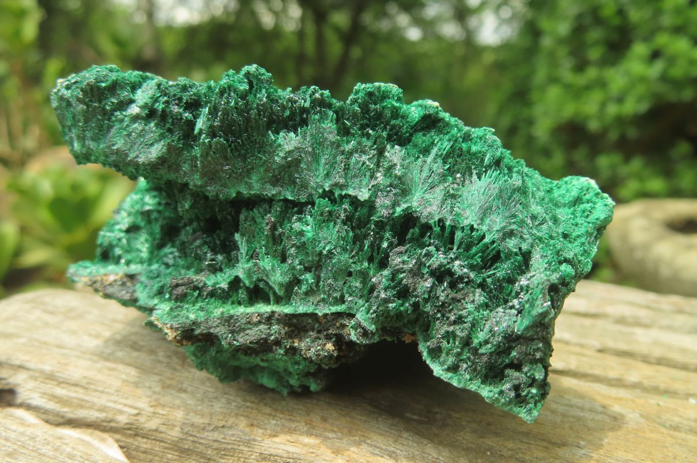 Natural Silky Malachite Specimens x 5 From Kasompe, Congo - Toprock Gemstones and Minerals 