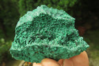 Natural Silky Malachite Specimens x 5 From Kasompe, Congo - Toprock Gemstones and Minerals 