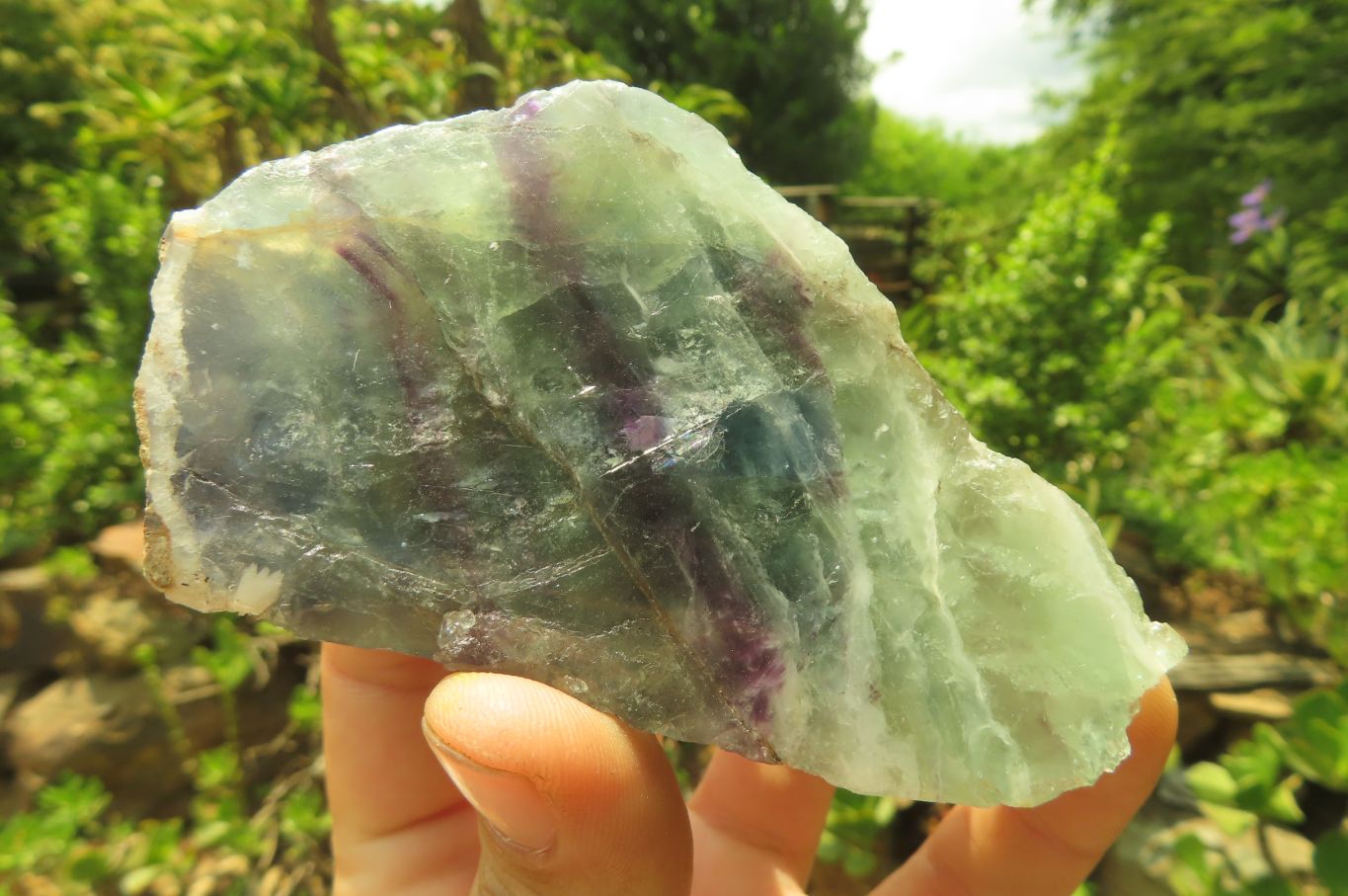 Polished On One Side Watermelon Fluorite x 3 From Uis, Namibia - Toprock Gemstones and Minerals 