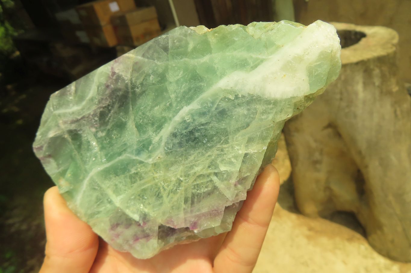 Polished On One Side Watermelon Fluorite x 3 From Uis, Namibia - Toprock Gemstones and Minerals 