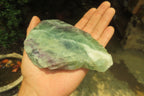 Polished On One Side Watermelon Fluorite x 3 From Uis, Namibia - Toprock Gemstones and Minerals 
