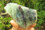 Polished On One Side Watermelon Fluorite x 3 From Uis, Namibia - Toprock Gemstones and Minerals 