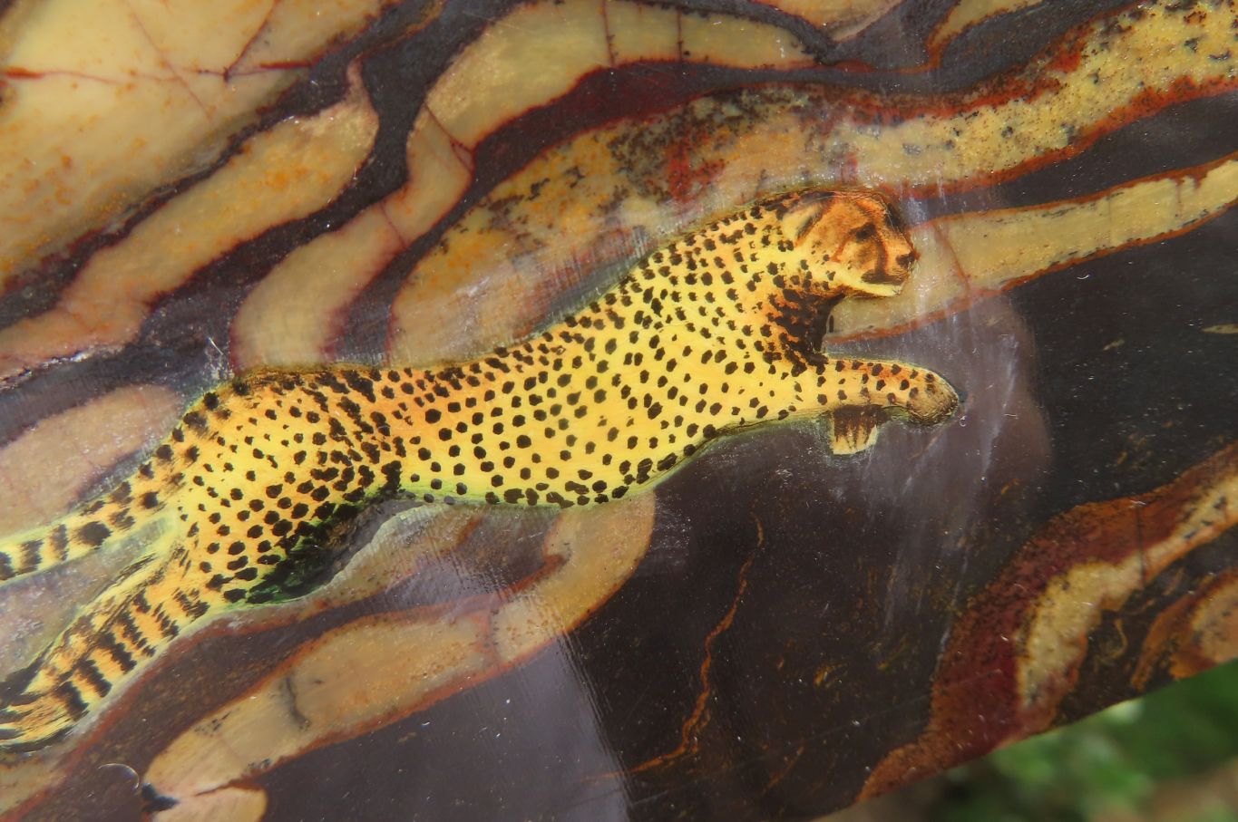 Hand Made Cheetah Decoupage Stone Slabs x 7 From Southern Africa - Toprock Gemstones and Minerals 