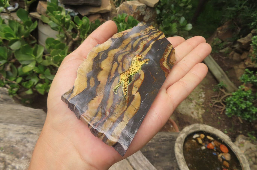Hand Made Cheetah Decoupage Stone Slabs x 7 From Southern Africa - Toprock Gemstones and Minerals 
