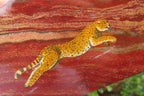 Hand Made Cheetah Decoupage Stone Slabs x 7 From Southern Africa - Toprock Gemstones and Minerals 
