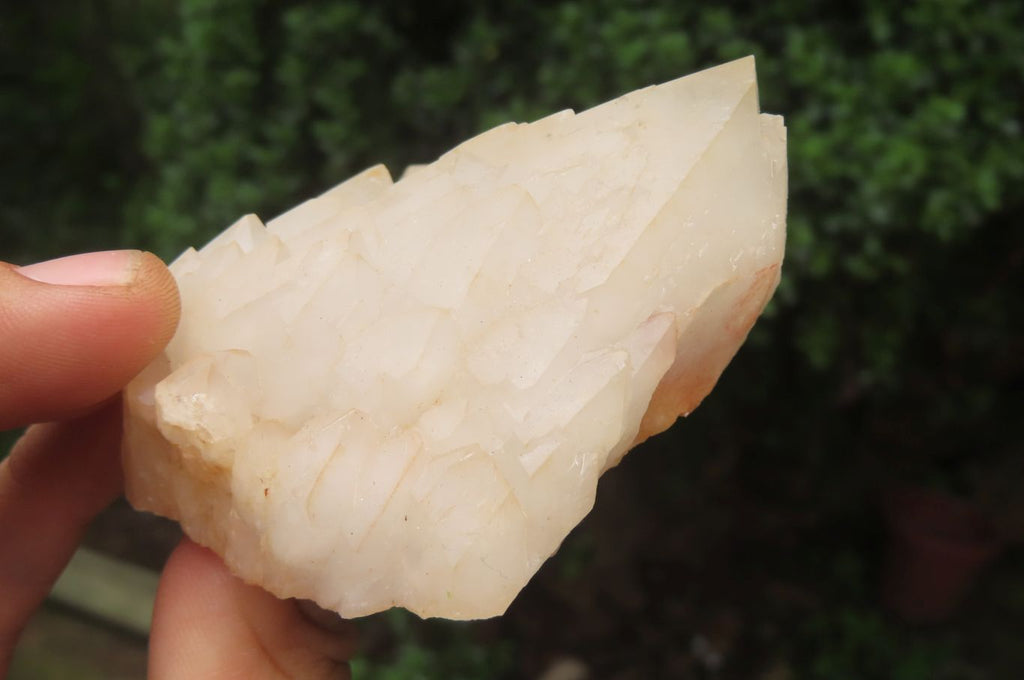 Natural Candle Quartz Clusters x 6 From Madagascar - Toprock Gemstones and Minerals 