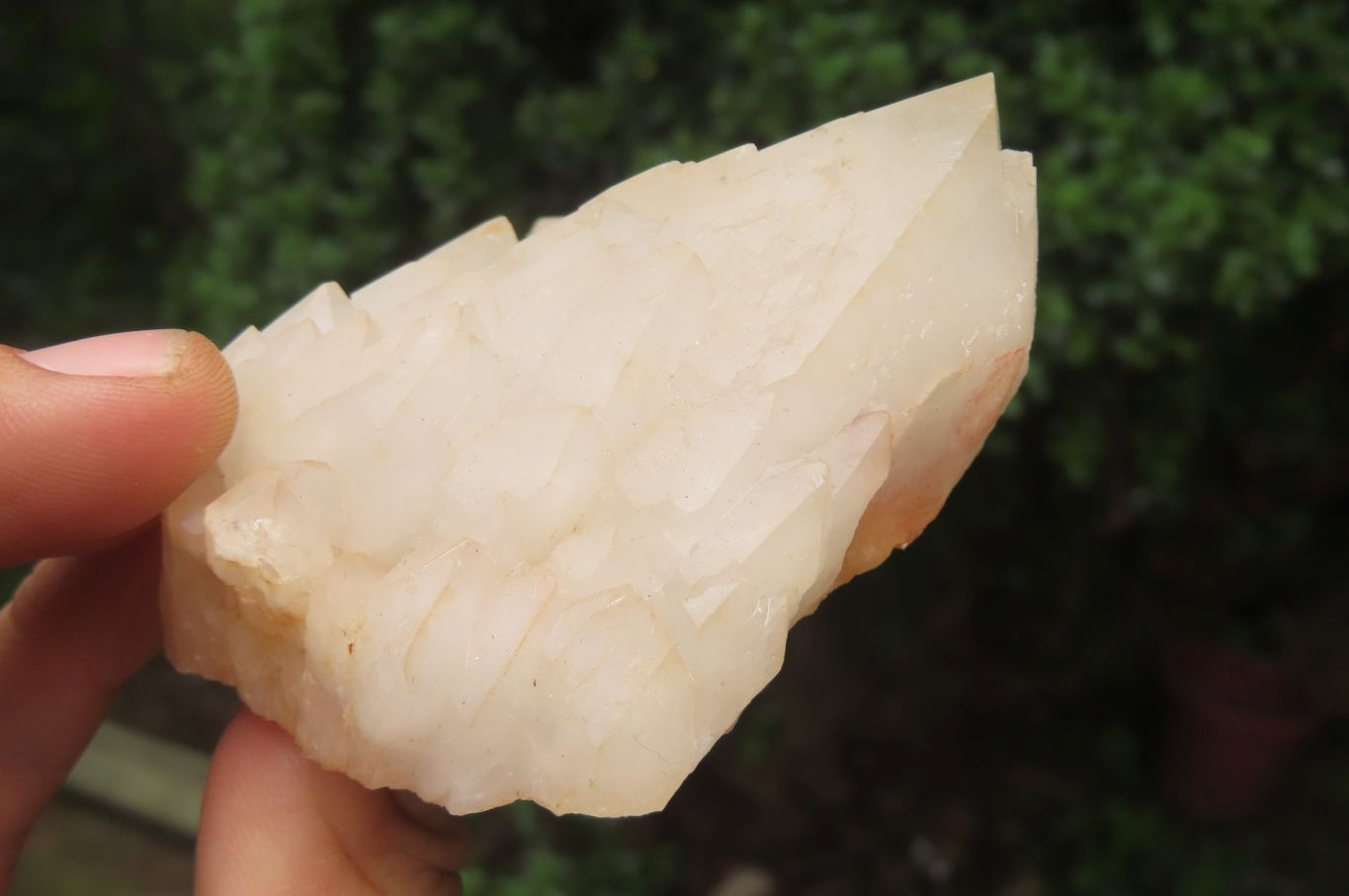 Natural Candle Quartz Clusters x 6 From Madagascar - Toprock Gemstones and Minerals 