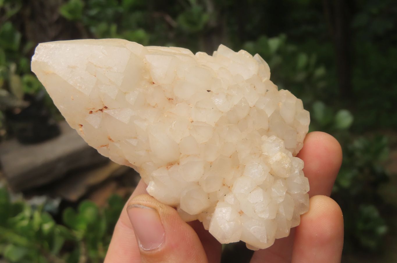 Natural Candle Quartz Clusters x 6 From Madagascar - Toprock Gemstones and Minerals 