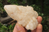 Natural Candle Quartz Clusters x 6 From Madagascar