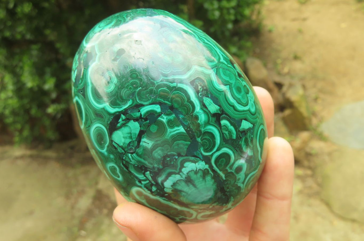 Polished Flower Banded Malachite Gemstone Eggs x 2 From Congo - Toprock Gemstones and Minerals 