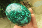 Polished Flower Banded Malachite Gemstone Eggs x 2 From Congo - Toprock Gemstones and Minerals 