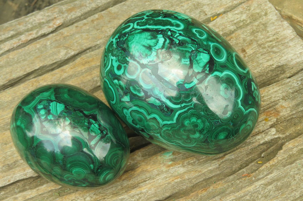 Polished Flower Banded Malachite Gemstone Eggs x 2 From Congo - Toprock Gemstones and Minerals 