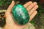 Polished Flower Banded Malachite Gemstone Eggs x 2 From Congo - Toprock Gemstones and Minerals 