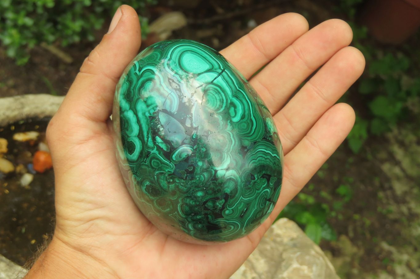 Polished Flower Banded Malachite Gemstone Eggs x 2 From Congo - Toprock Gemstones and Minerals 