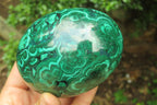 Polished Flower Banded Malachite Gemstone Eggs x 2 From Congo - Toprock Gemstones and Minerals 