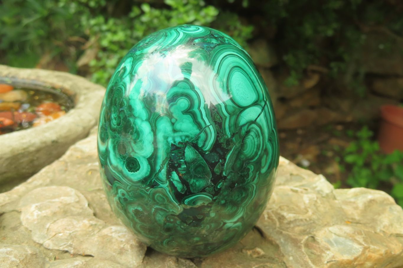 Polished Flower Banded Malachite Gemstone Eggs x 2 From Congo - Toprock Gemstones and Minerals 
