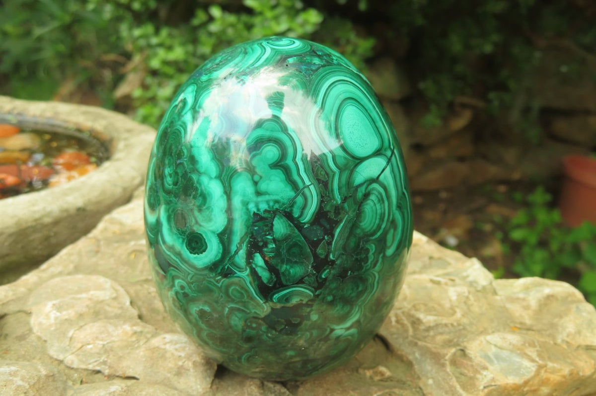 Polished Flower Banded Malachite Gemstone Eggs x 2 From Congo - Toprock Gemstones and Minerals 