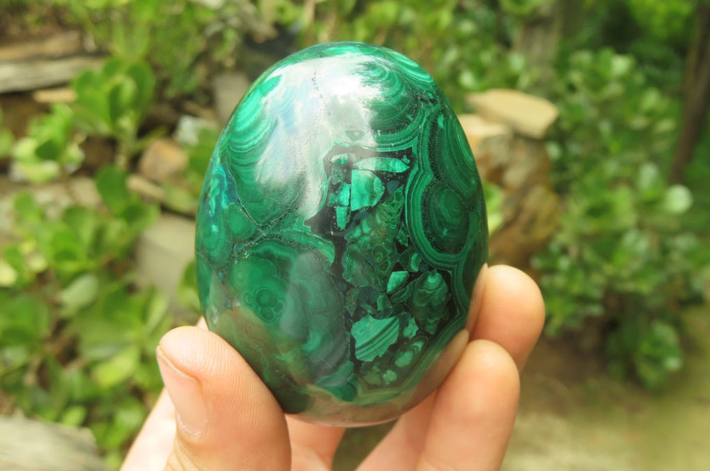 Polished Flower Banded Malachite Gemstone Eggs x 2 From Congo - Toprock Gemstones and Minerals 