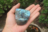 Polished Labradorite Standing Free Forms x 6 From Madagascar - Toprock Gemstones and Minerals 