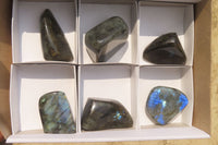 Polished Labradorite Standing Free Forms x 6 From Madagascar - Toprock Gemstones and Minerals 