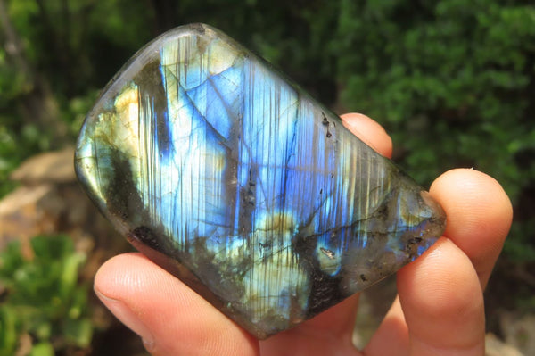 Polished Labradorite Standing Free Forms x 6 From Madagascar - Toprock Gemstones and Minerals 