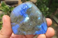Polished Labradorite Standing Free Forms x 6 From Madagascar - Toprock Gemstones and Minerals 