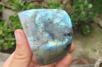 Polished Labradorite Standing Free Forms x 6 From Madagascar - Toprock Gemstones and Minerals 