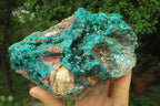 Natural Dioptase Cabinet Specimen x 1 From Reneville Brazzaville, Congo - Toprock Gemstones and Minerals 